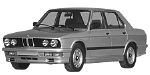 BMW E28 P033D Fault Code